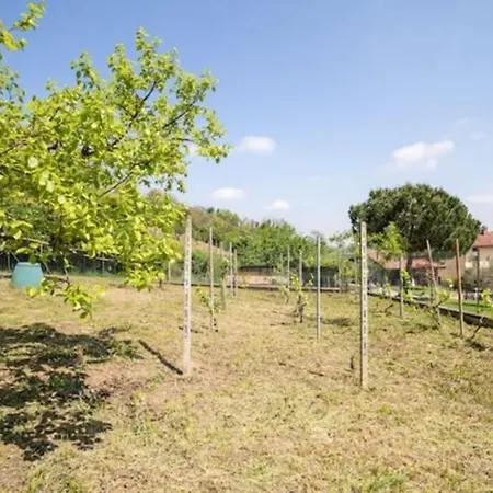 Ciraldo In Monferrato Con Giardino Per 8 Persone Immersa Nel Vila San Salvatore Monferrato
