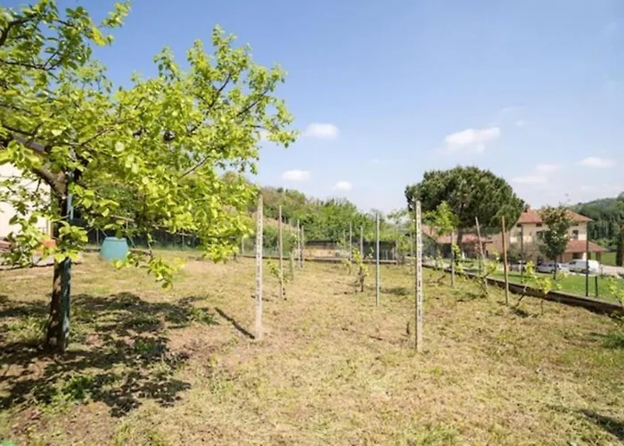Villa Ciraldo In Monferrato Con Giardino Per 8 Persone Immersa Nel Verde Villa San Salvatore Monferrato